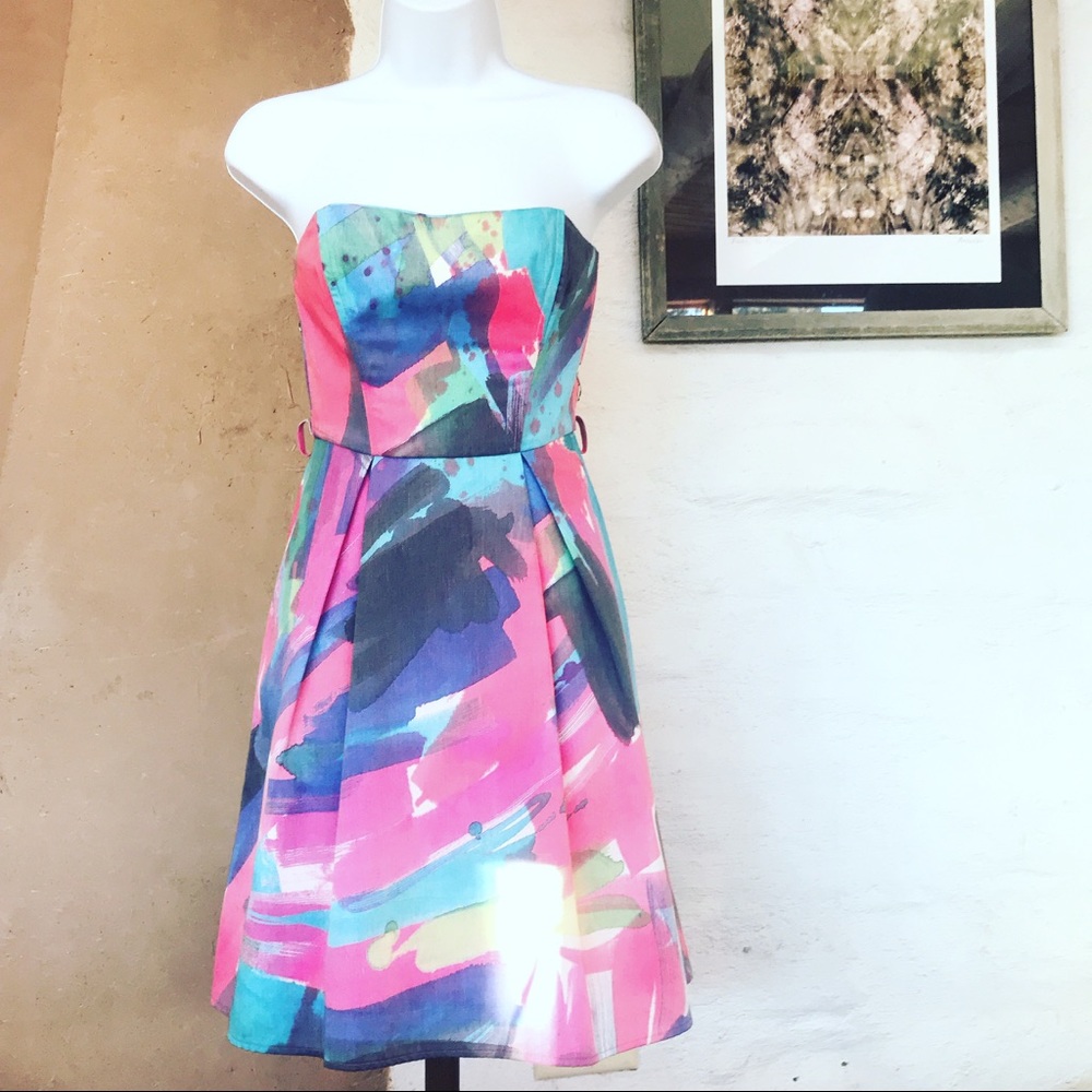 Corey Linn Calter pastel brush bustier dress retro